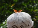 A butterfly on June's head at a butterfly garden